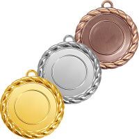 3455-050 Медаль Кубджа