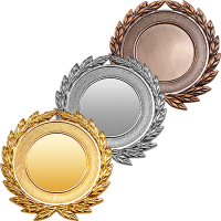 3460-050 Медаль Арчика