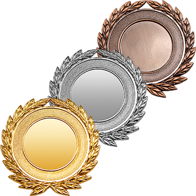 3460-050 Медаль Арчика