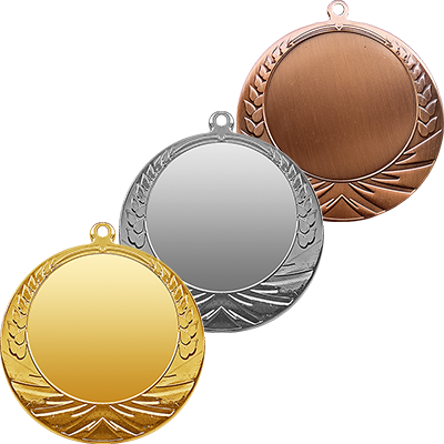 3483 Медаль Волхов