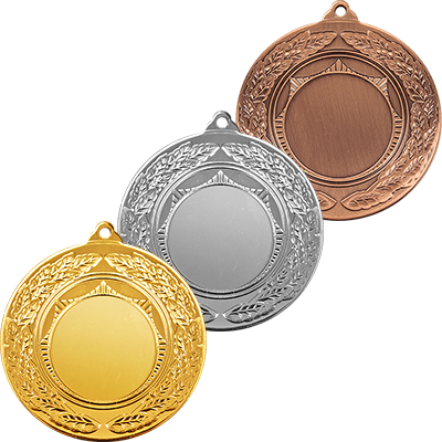 3481 Медаль Даугава