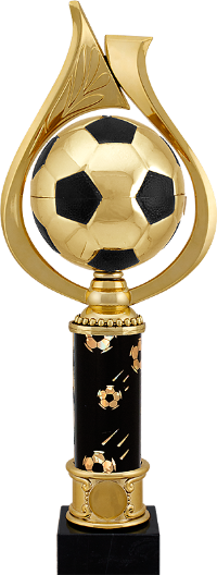 1449 Награда Футбол