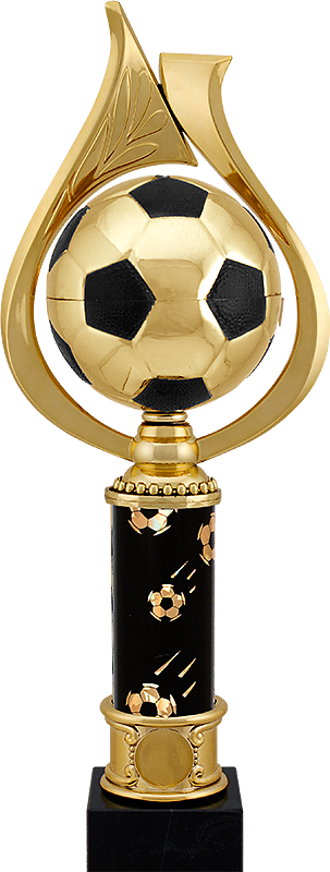 1449 Награда Футбол