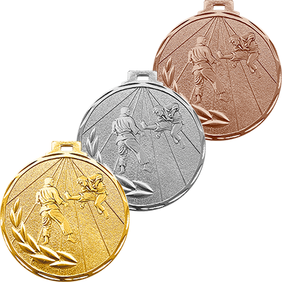 3400-017 Медаль Карате