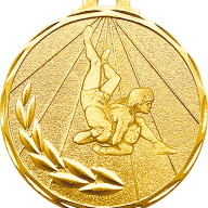 3400-019 Медаль Борьба