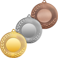 3449-050 Медаль Ахалья