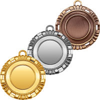 3469-050 Медаль Вишалья