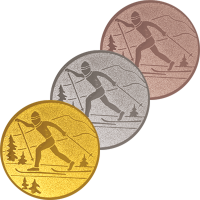 1139-150 Эмблема лыжный спорт